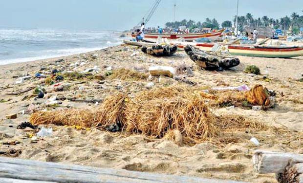 Marina Beach Marina Beach